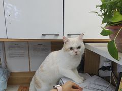 -瑞派宠物医院·24h·骨外科·皮肤科·全科宠物医疗转诊中心(沈阳浑南院)