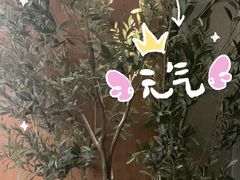 -新紫霞养生·影院足道·SPA(金山区店)