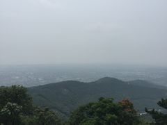 -雨花胜境