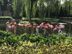 -石家庄市动物园