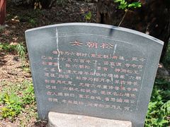 -泰山风景名胜区-普照寺