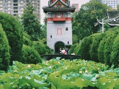 -四川大学(华西校区)