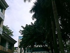 -广州市白云区图书馆