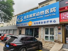 -北京观赏动物医院·24小时大型综合·猫专科·异宠专科