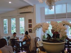 -Fern Forest Cafe