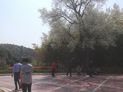 -龙寺生态园