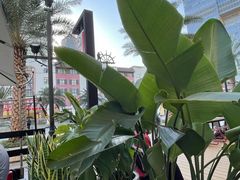 -金戈戈香港豉油鸡(皇庭广场店)