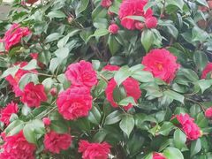 -福建中医药大学附属第二人民医院(本部)