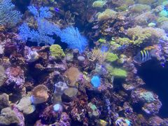 -海合安青岛极地海洋公园