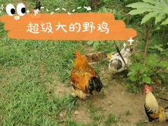 -扬州市茱萸湾风景区