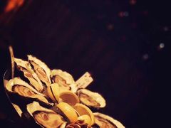 -斯普汇生蚝牛排馆(中骏世界城店)