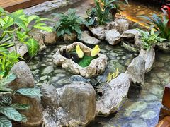 -赛格国际购物中心(小寨店)