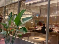 -生如夏花泰式火锅(西村黑金店)