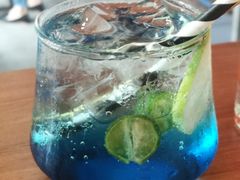 蓝柑苏打-柴犬高等学院·狗咖·柴犬售卖·宠物训练