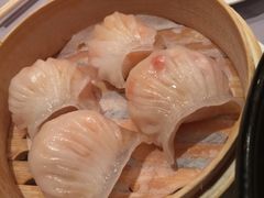 -御花园·粤菜·海鲜火锅(中山公园店)