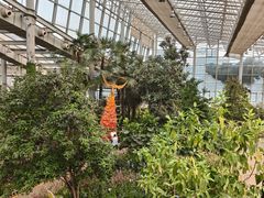 -沈阳植物园