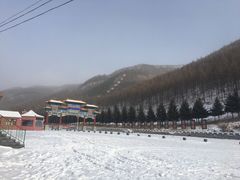 -塞罕坝国家级自然保护区