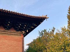 -善化寺