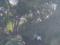 -吴山景区