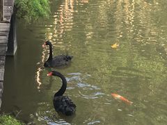 -呀诺达热带雨林