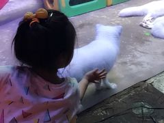 -芜湖新华联大白鲸海洋公园