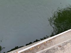 -水绘园