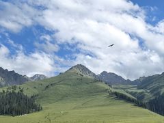 -新疆那拉提国家旅游度假区