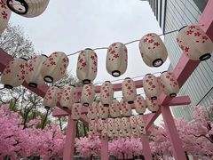 -金茂览秀城