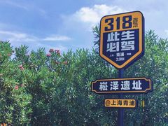 -上海崧泽遗址博物馆