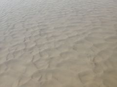 -上海南汇嘴大堤酒店