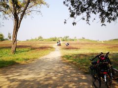 -汉长安城未央宫国家考古遗址公园