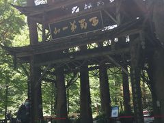 -青城山