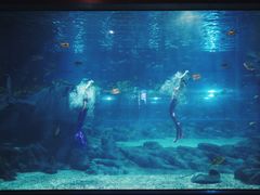 -福州罗源湾海洋世界旅游区