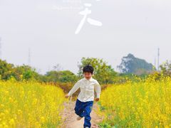 -长洲岛