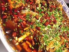 -新概念来凤鱼(璧山店)
