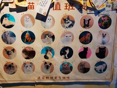 -猫小院猫主题咖啡厅(北锣店)