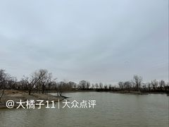 -盐城丹顶鹤湿地生态旅游区