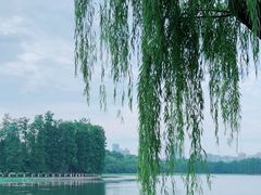 -东湖听涛景区