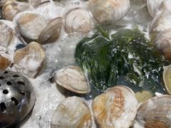 -水哥卜卜贝(东晓·胜汇里店)