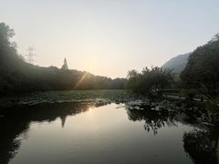 -八卦田遗址公园