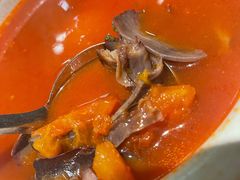 番茄牛肉-曾牛肉