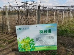 -江天生态园餐厅