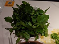 -犇鼎牛潮汕牛肉火锅(新辰里学清路店)