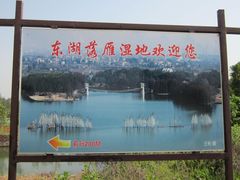-东湖落雁景区