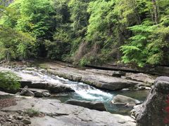 -黎坪国家森林公园