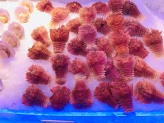 -澜悦港海鲜体验主题餐厅