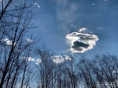 -永定河休闲森林公园