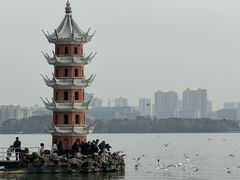 -无锡蠡湖国家湿地公园-蠡园