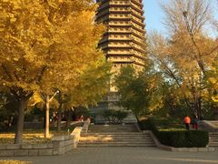 -玲珑塔公园