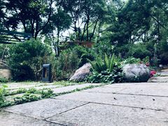 -谷咖啡·鲜花绿植花园餐厅
